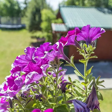 Privatunterkunft Willa Magia Władysławowo